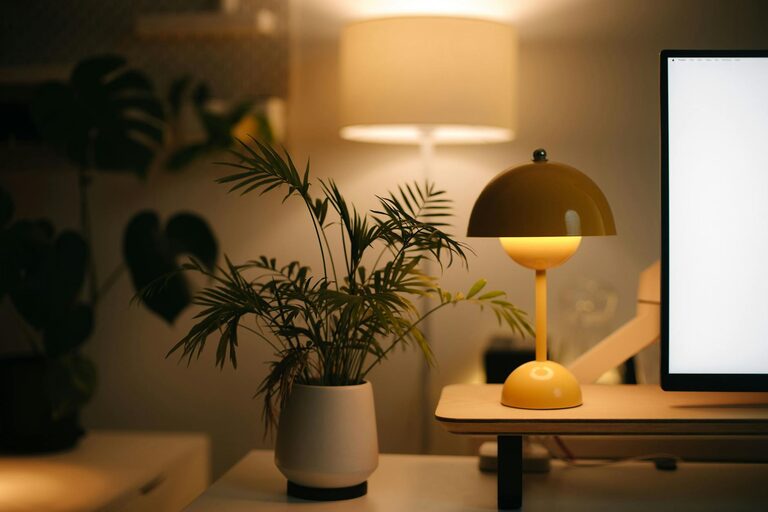 Tips for Creating a Cozy and Functional Home Office Space